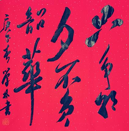 《只争朝夕不负韶华》方形书法小品