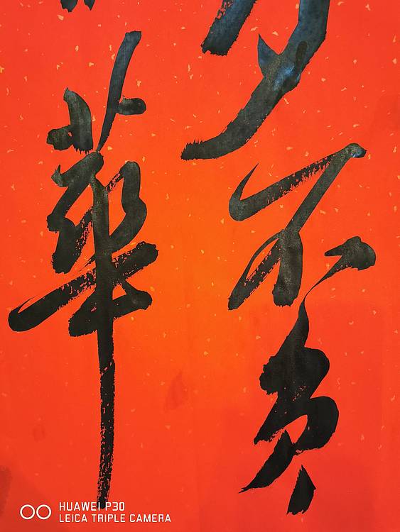 《只争朝夕不负韶华》方形书法小品