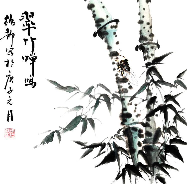 翠竹蝉鸣