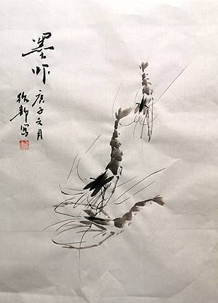 虾