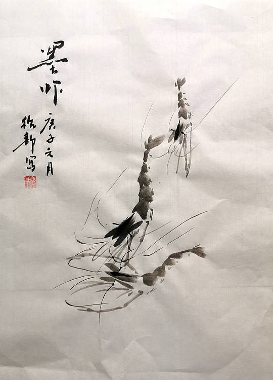 虾