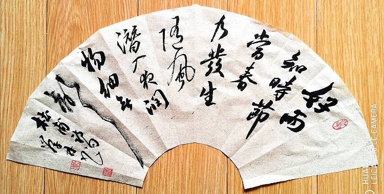 古诗词小扇面作品