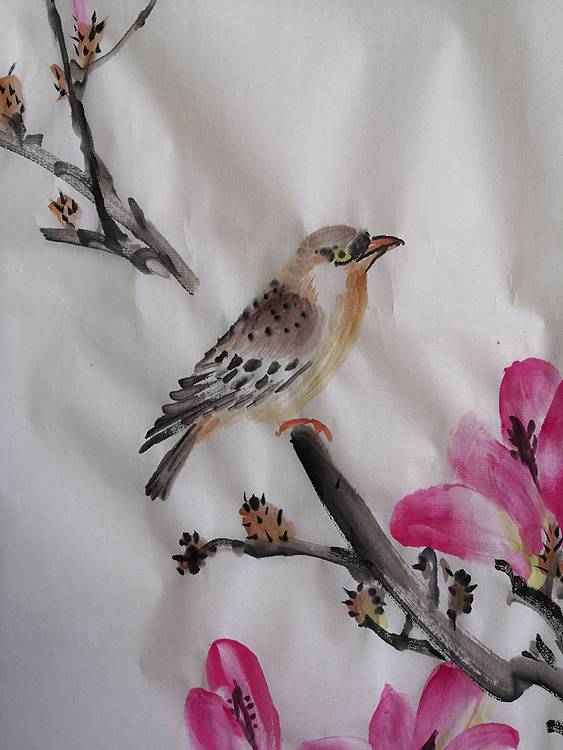 玉兰和小鸟儿