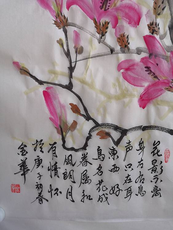 玉兰和小鸟儿