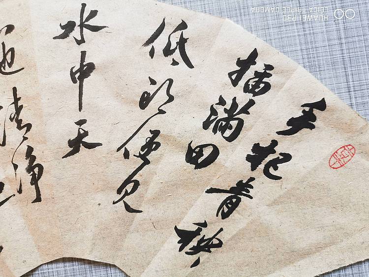 扇面小作品