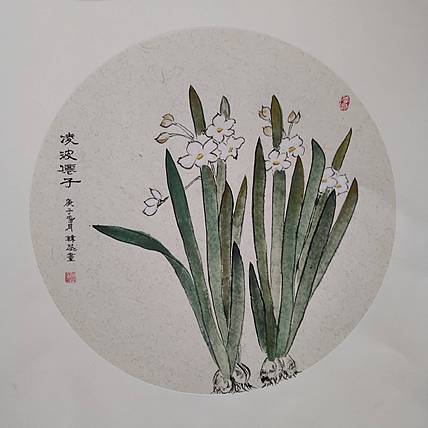山东省当代工笔画院画家韩蕊没骨水仙图