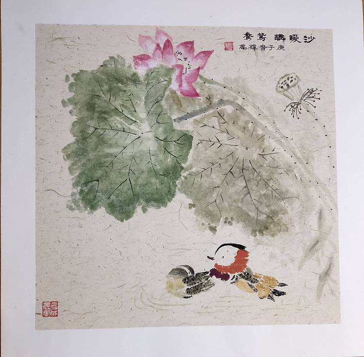 山东省当代工笔画院画家韩蕊鸳鸯荷花图