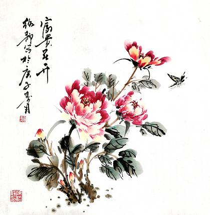 富贵花开