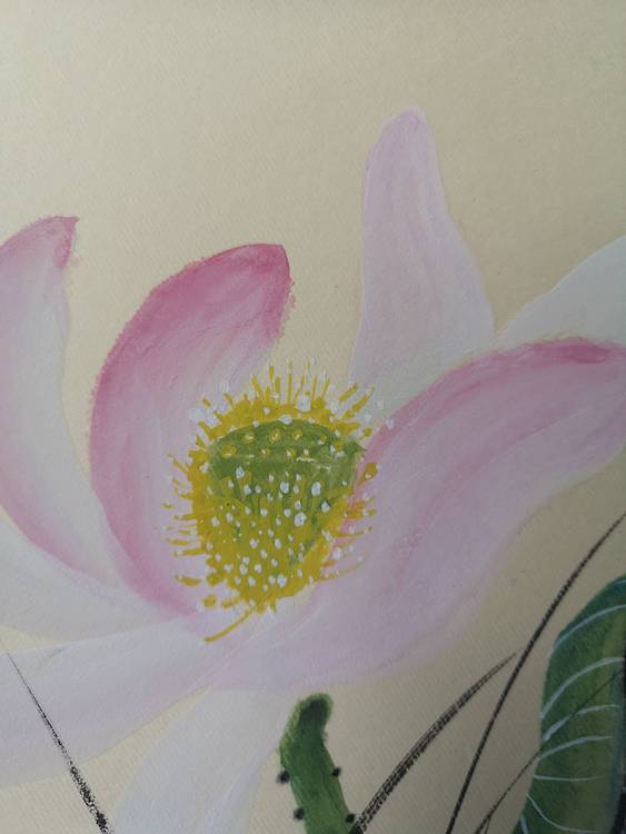 郭晋芬国画小品《荷香》