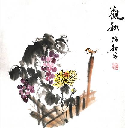 观景