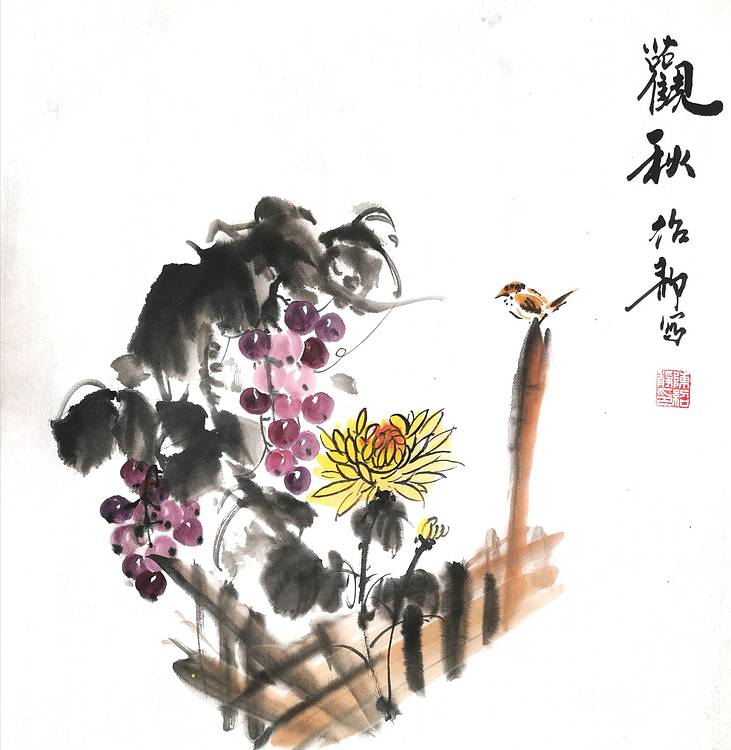 观景