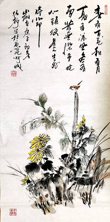 菊花小鸟