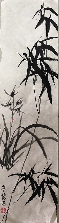 女子书院  张冬梅