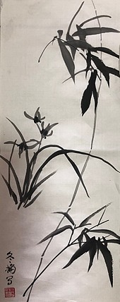 女子书院  张冬梅