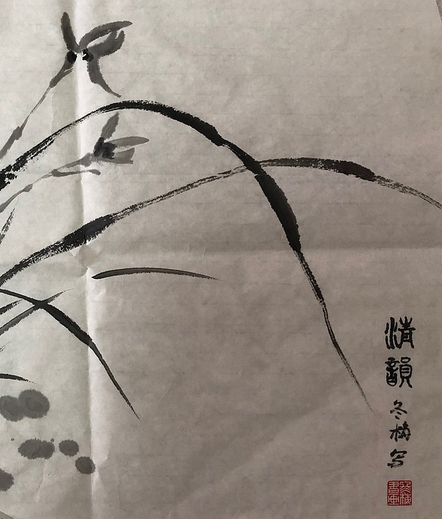 女子书院  张冬梅