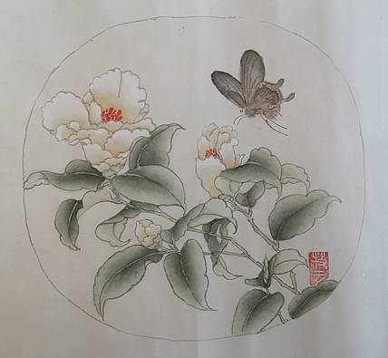 茶花蝴蝶图