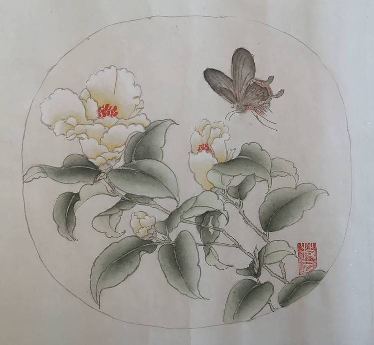 茶花蝴蝶图