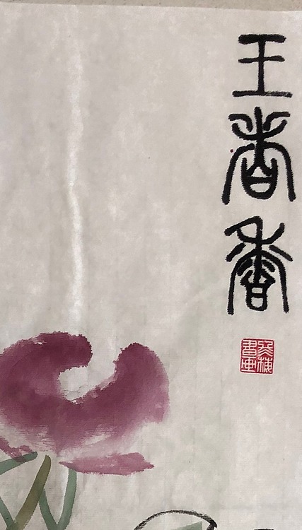 女子书院  张冬梅