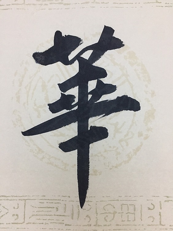 赵永夫 职业画家 天津美术学院国画硕士研究生