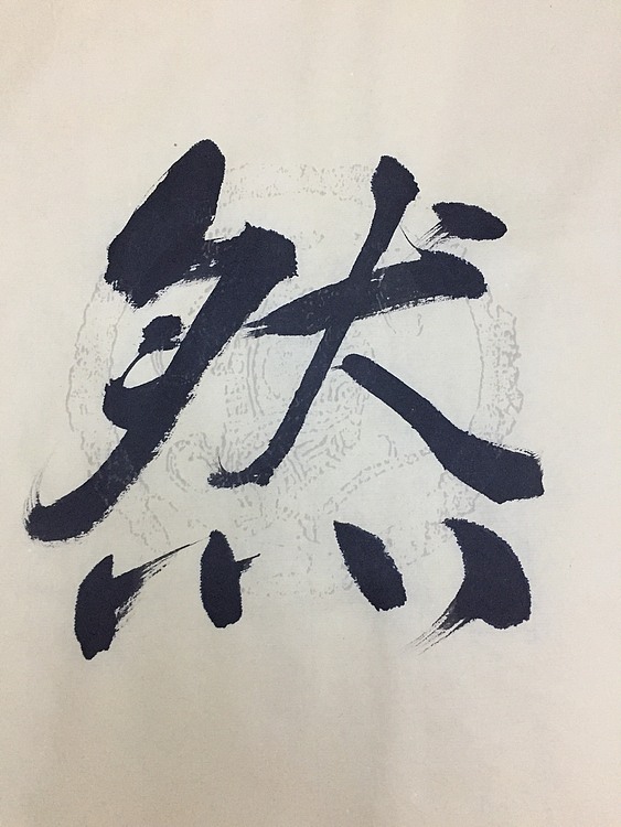赵永夫 职业画家 天津美术学院国画硕士研究生
