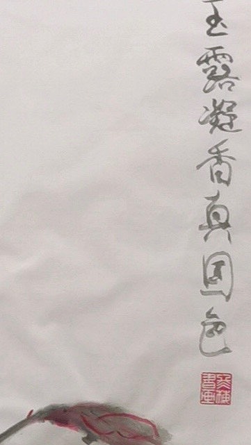 女子书院  张冬梅