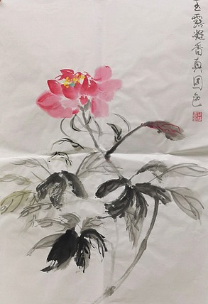 女子书院  张冬梅
