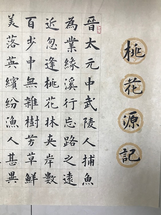 保定书协会员精品楷书作品