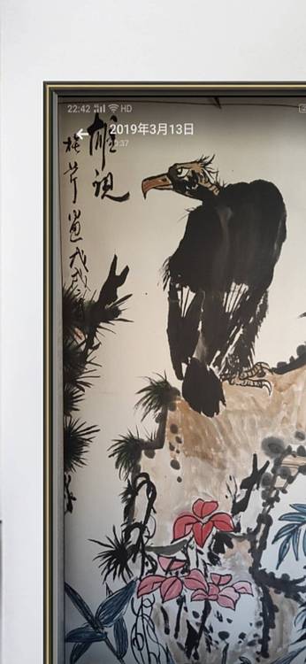 楹联协会会员   自由画家  闫桂芹