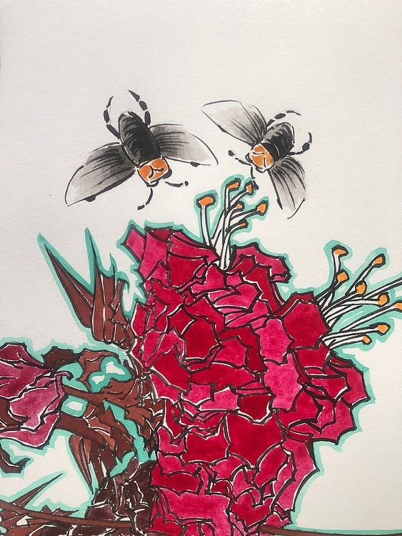 《蝴蝶花》