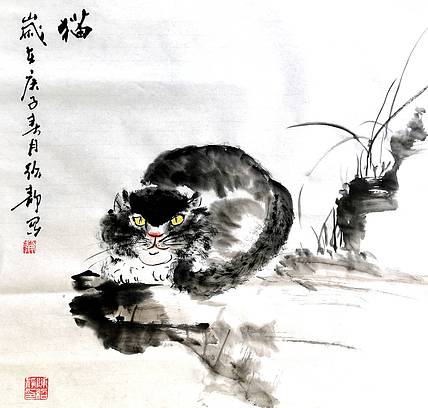 猫