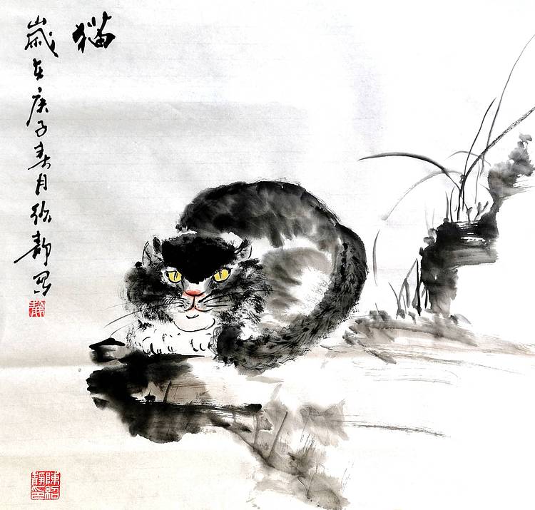 猫