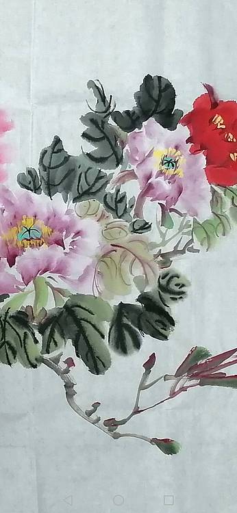 花开富贵