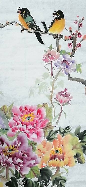 富贵花开