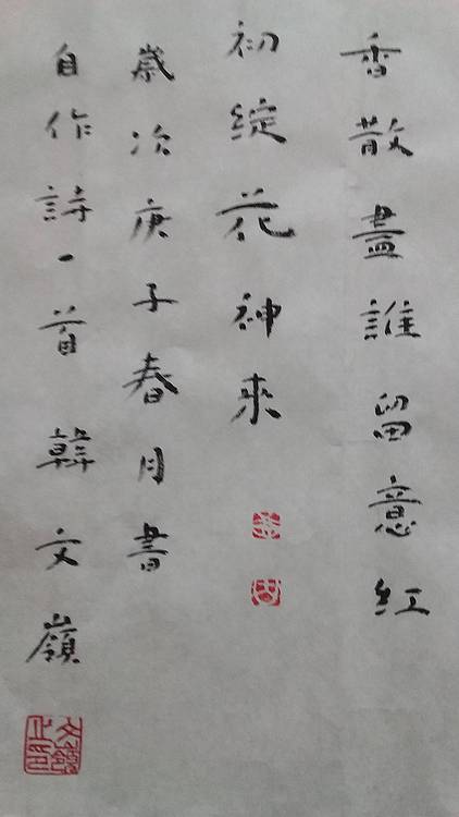 中书协会员楷书小品   与国画牡丹派对