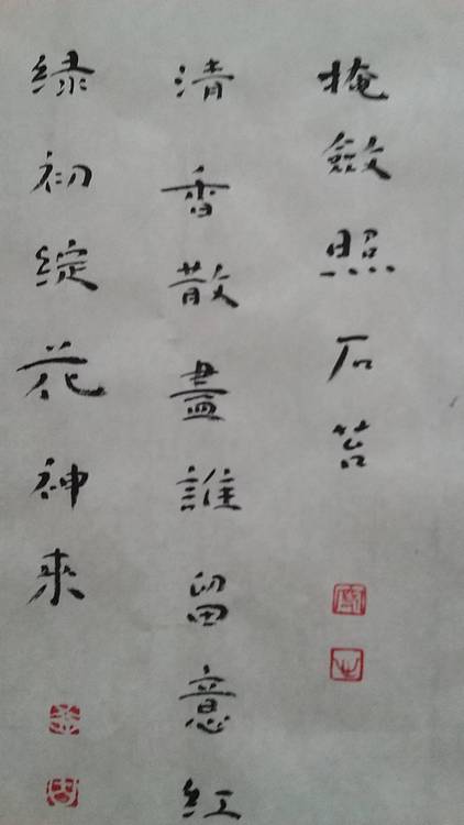 中书协会员楷书小品   与国画牡丹派对