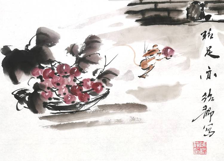 一粒知足