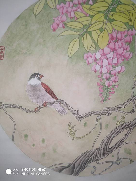 春色满园