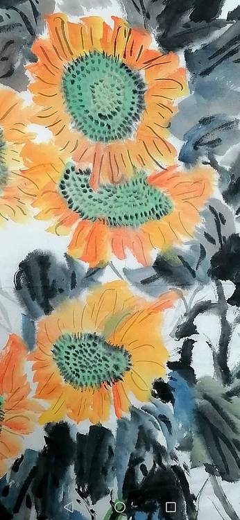太阳花