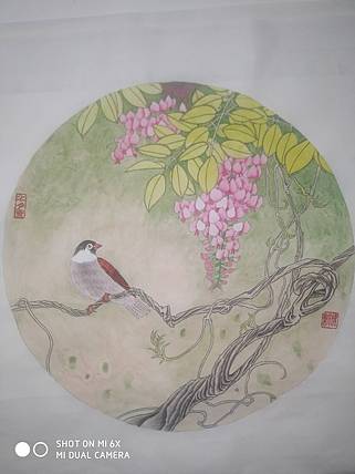 春色满园