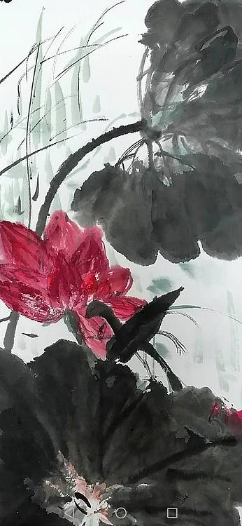 清塘