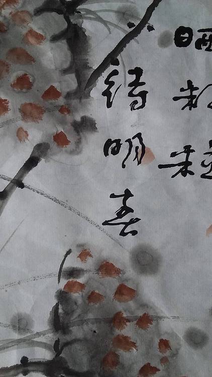 中国书法家协会会员韩文岭  国画 残莲图