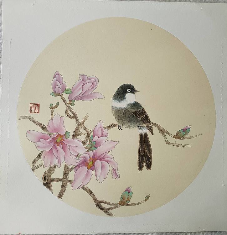 工笔花鸟  弄玉兰香