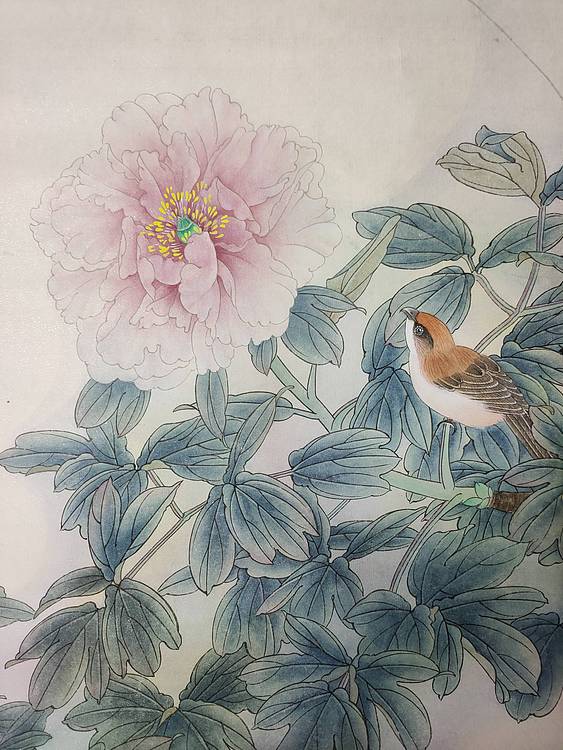工笔花鸟 新妆