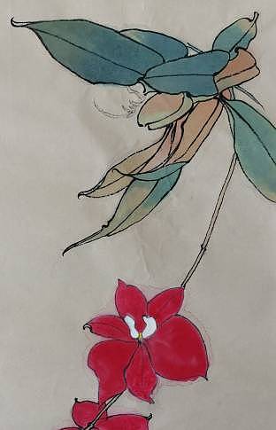 韩亮  花卉图