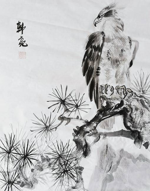 韩亮    雄视大千图