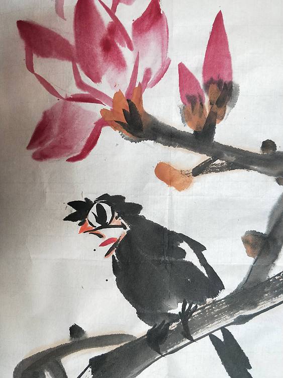 中国花鸟画研修院高研班 王建鑫 八哥玉兰图，紫玉。