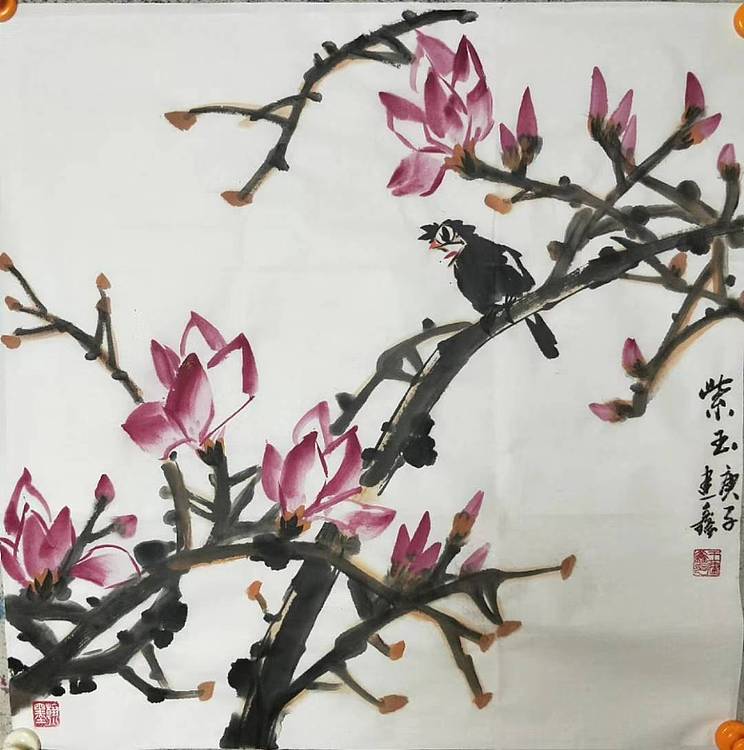 中国花鸟画研修院高研班 王建鑫 八哥玉兰图，紫玉。