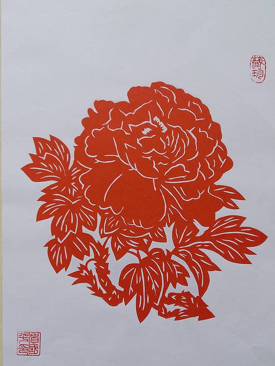 民间剪纸艺人 贺国平 牡丹花