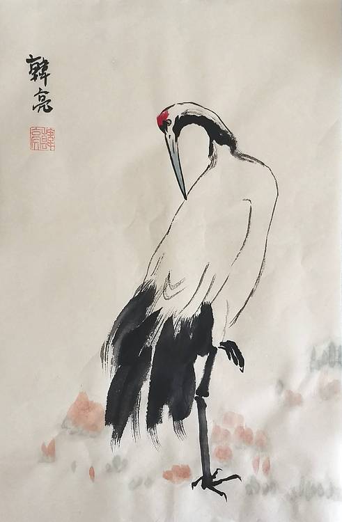 长寿