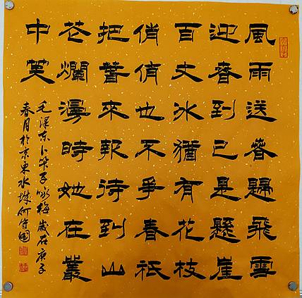 河北省书协会员何守国    卜算子咏梅